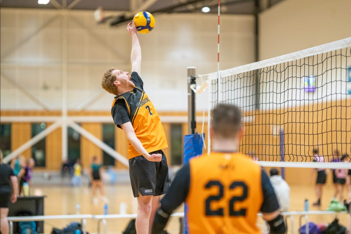 Volleyball court at The Arena (Sydney University)